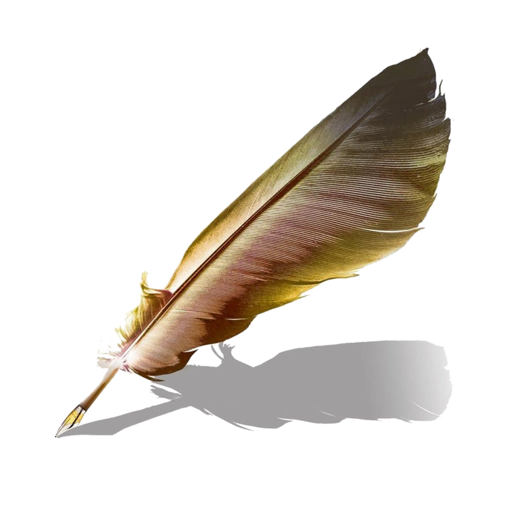 Письменные принадлежности