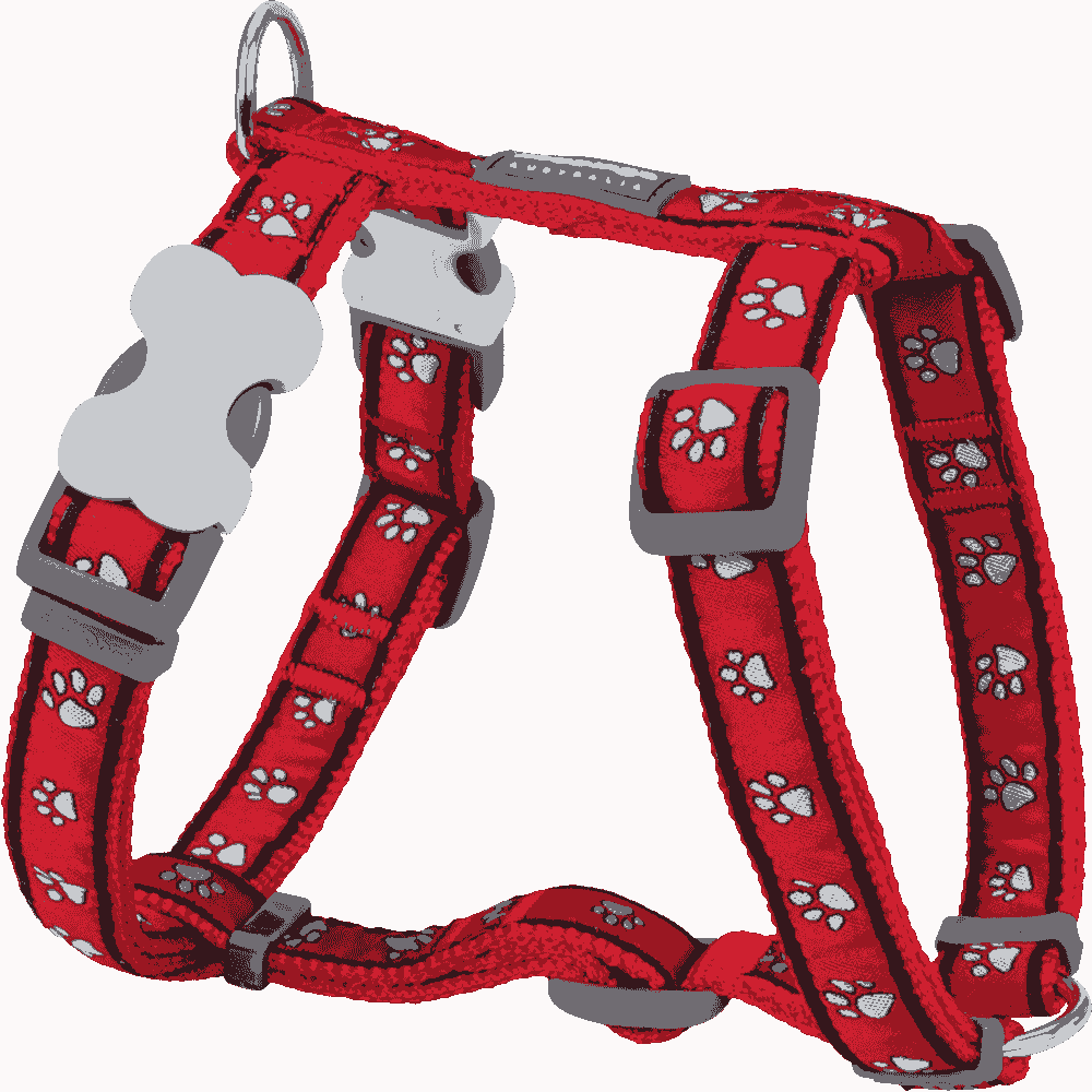 Товары для животных